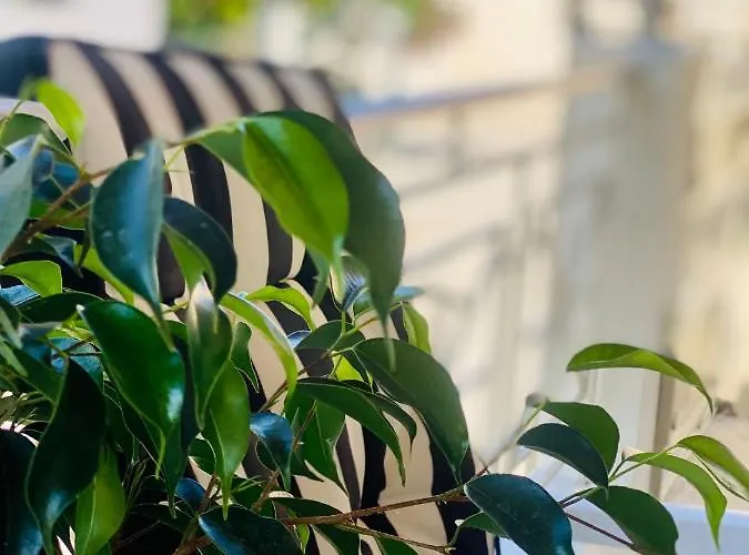 Διαμέρισμα Lydia House Corinth